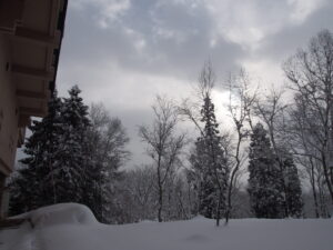 sunmembers10